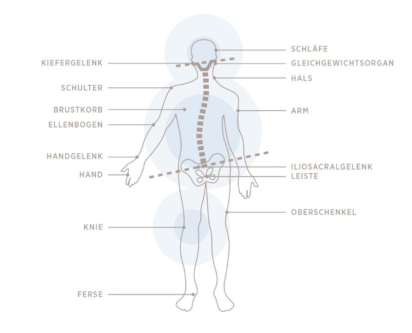 Grafik Rücken